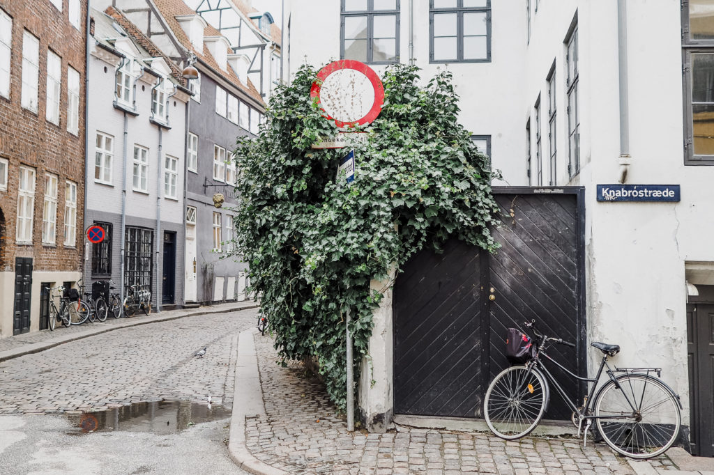 11 Things to Do in the Capital of Denmark