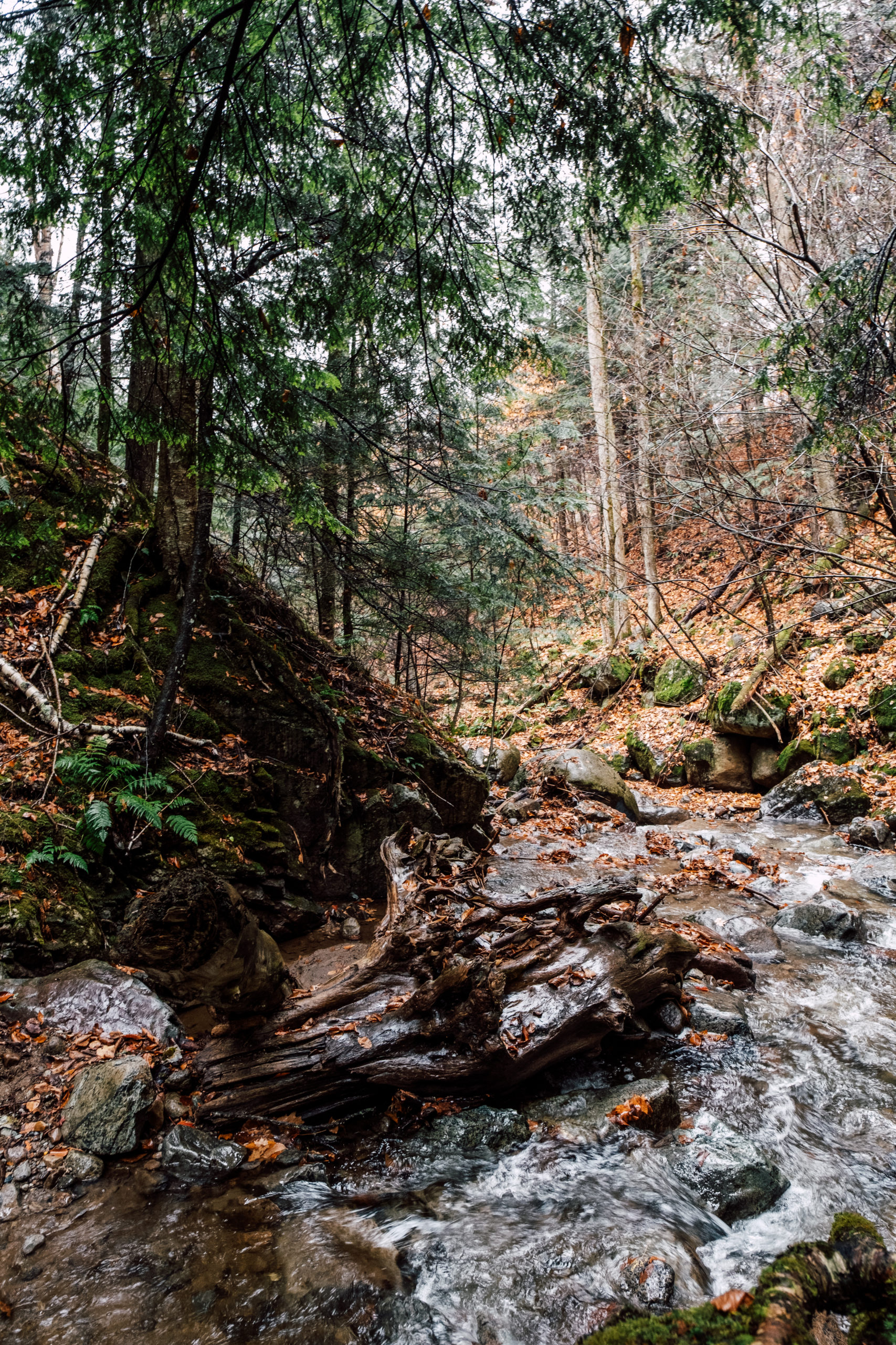 Airbnb in Upstate New York Weekend Getaway at Warner’s Camp Heart