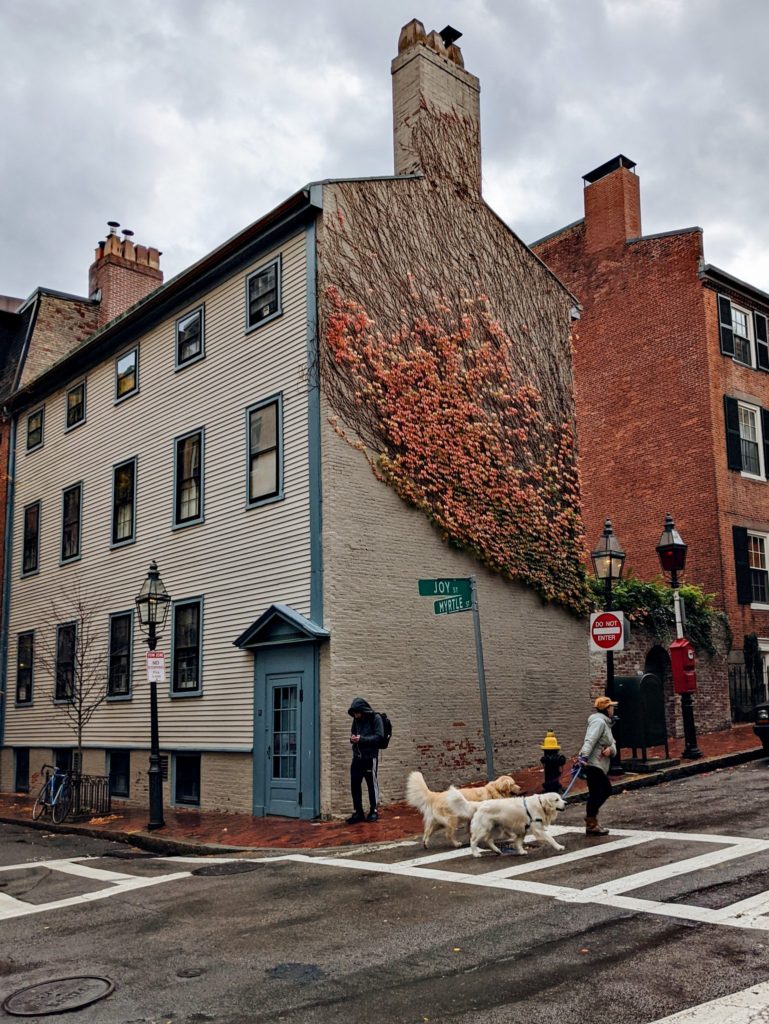 A Neighborhood Guide to Beacon Hill, Boston