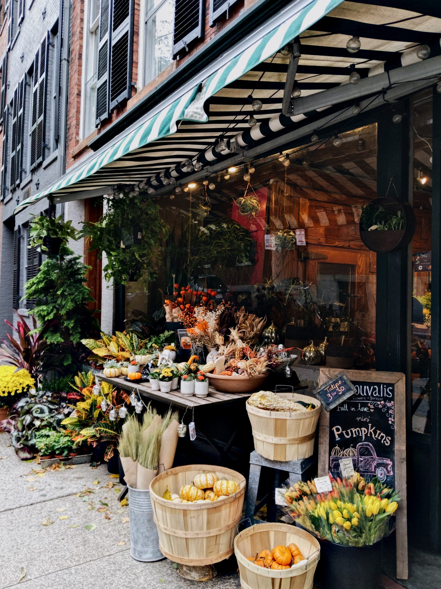 Flower shop in Beacon Hill