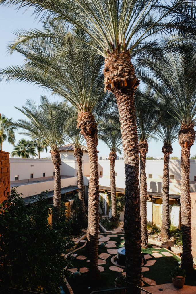 Where to Stay in Phoenix Our Favorite Hotels