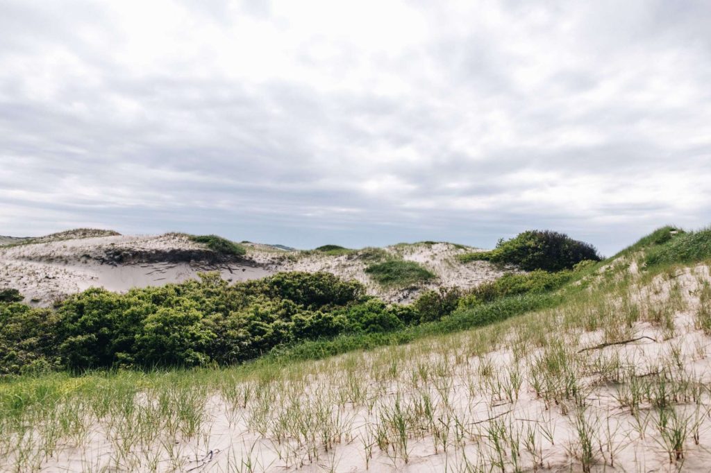 Cape Cod Travel Guide: 5 Things to Do on the Cape