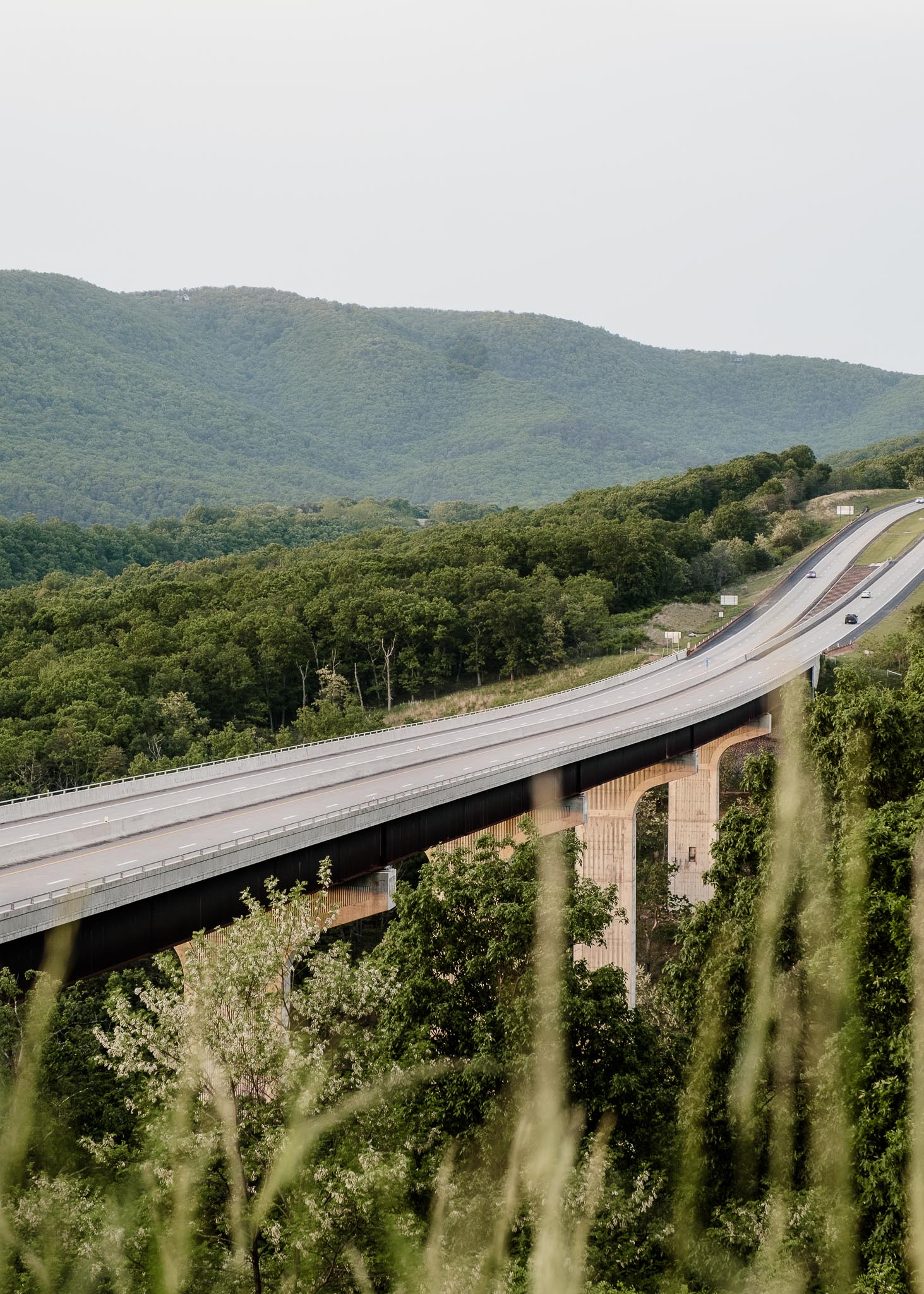 West Virginia Getaway: Exploring the Potomac Highlands