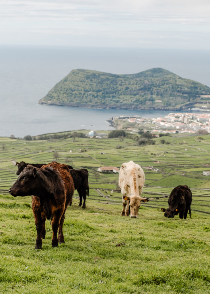 Terceira Azores: The Ultimate Travel Guide