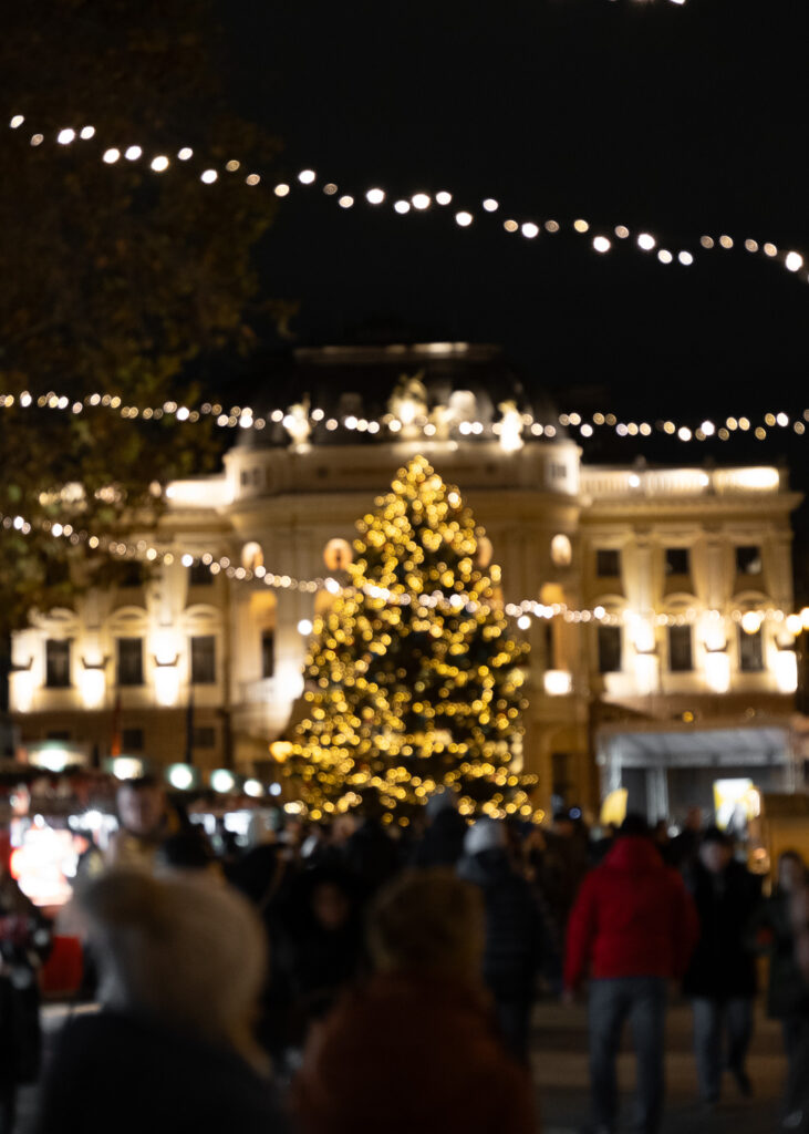 Danube Christmas Delights: Festive Adventure with Viking Cruises